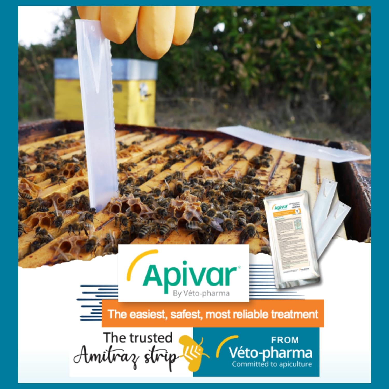 APIVAR 60 pack - Varroa Mite Treatment