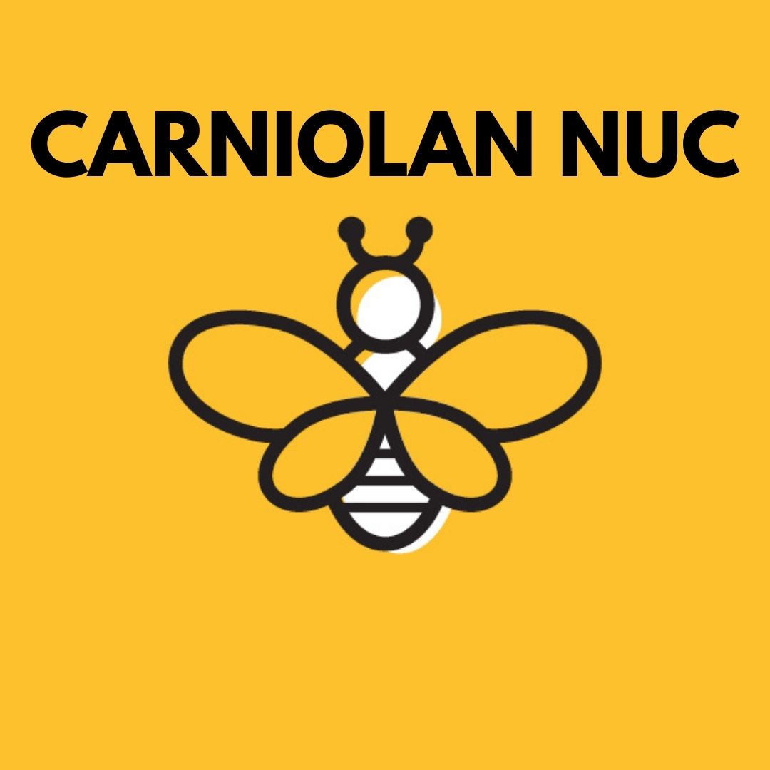 2024 NUC 5 Frame - Carniolan