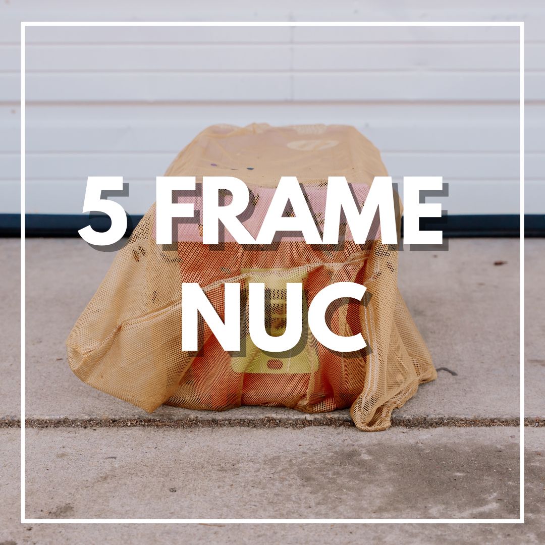 5 Frame NUCs