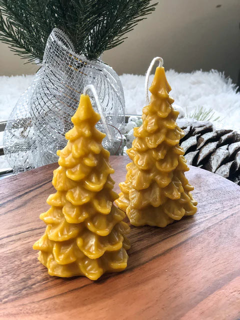 Candles