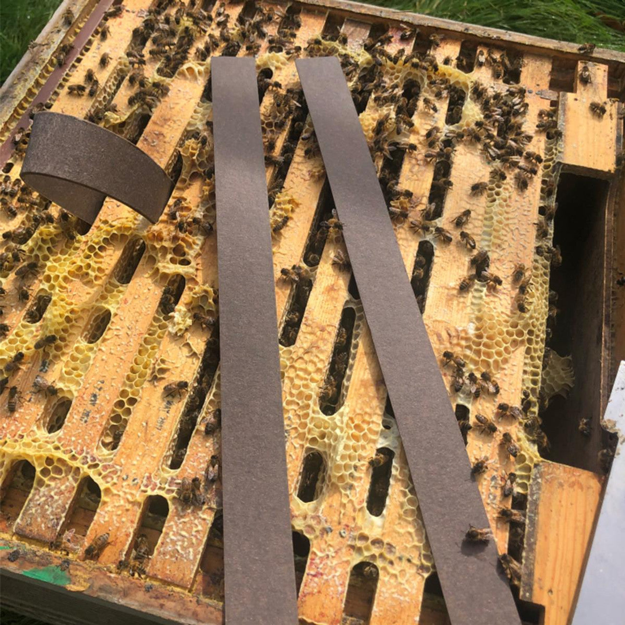 VarroxSan - Varroa Mite Treatment