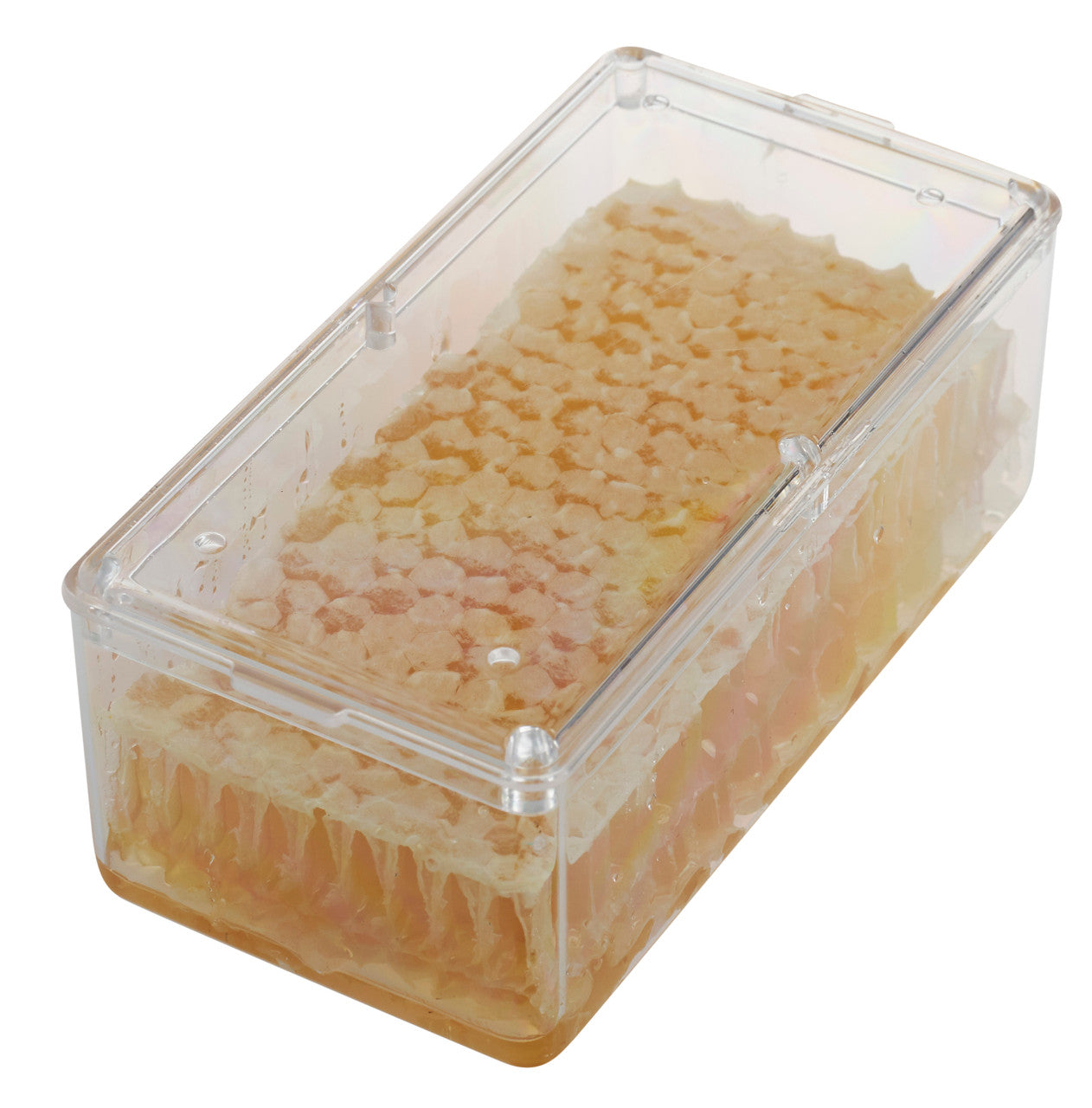 Comb Box Plastic 2 1/8" X 4 1/8"  - 12 Pack