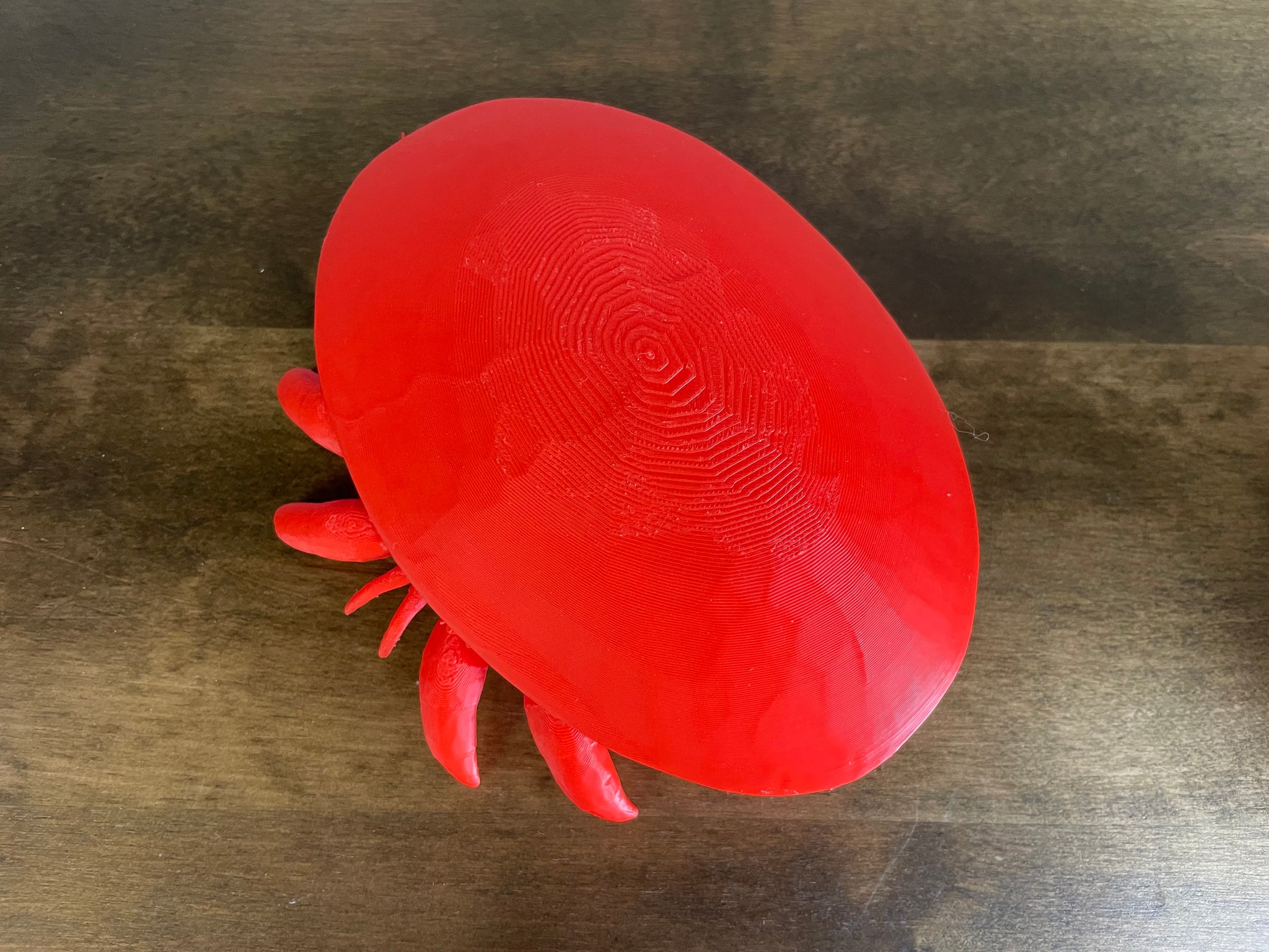 Varroa Mite - Human Sized