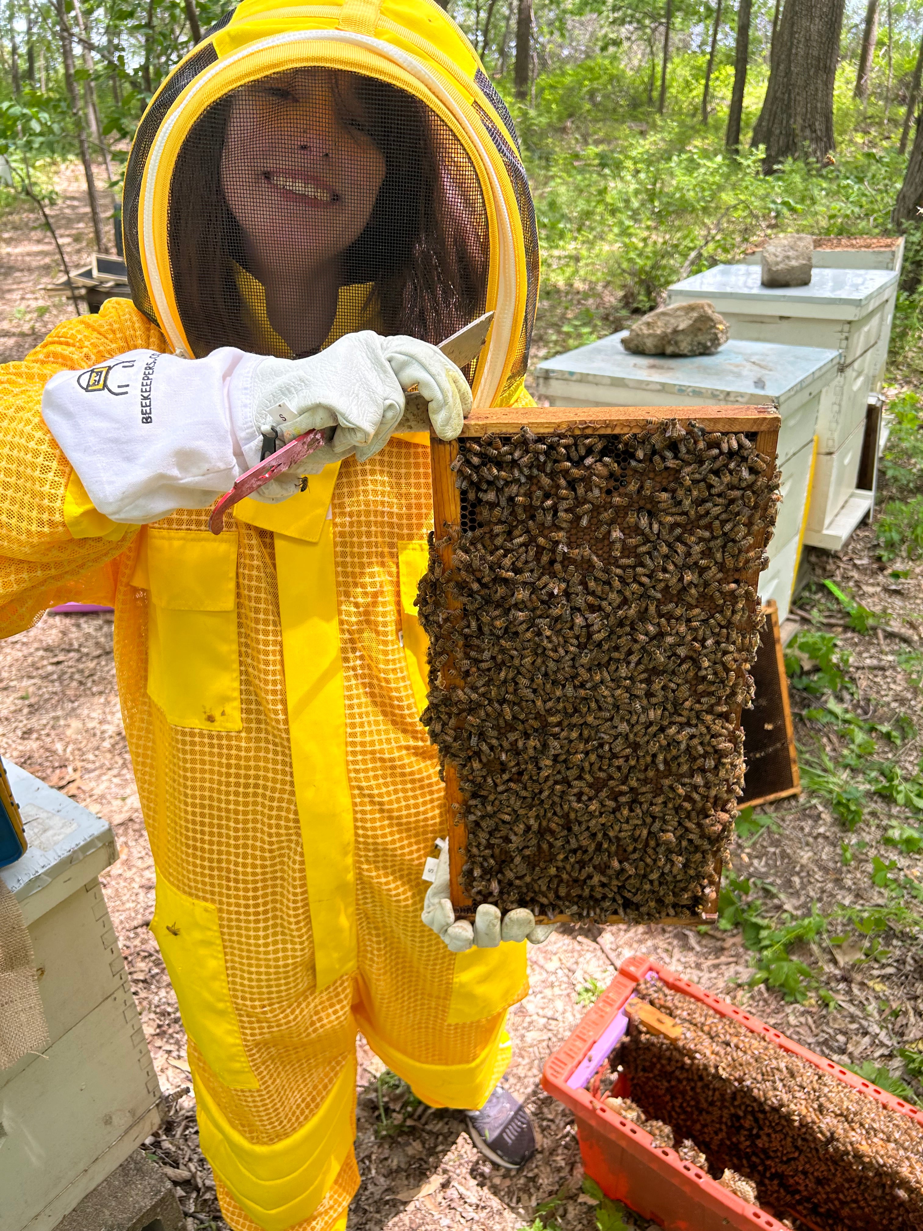 Heavy Duty Bee Suit | Bee Handler - Beekeeper Suit | Buzzing Bee
