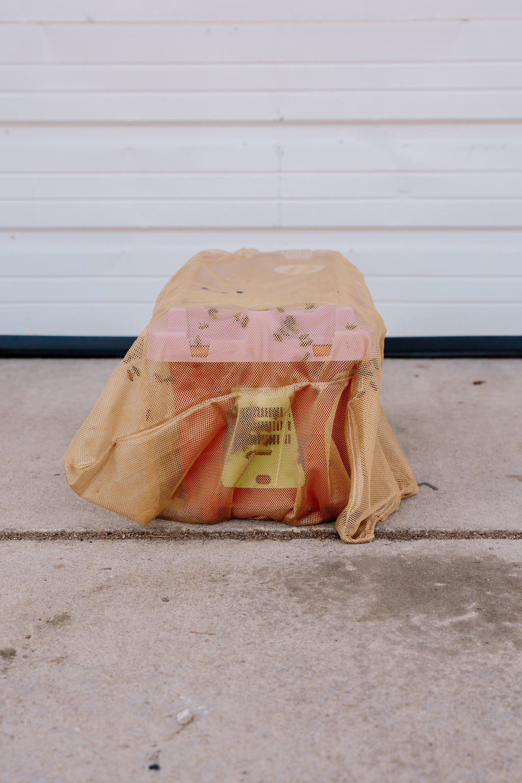 2026 NUC 5 Frame - Italian