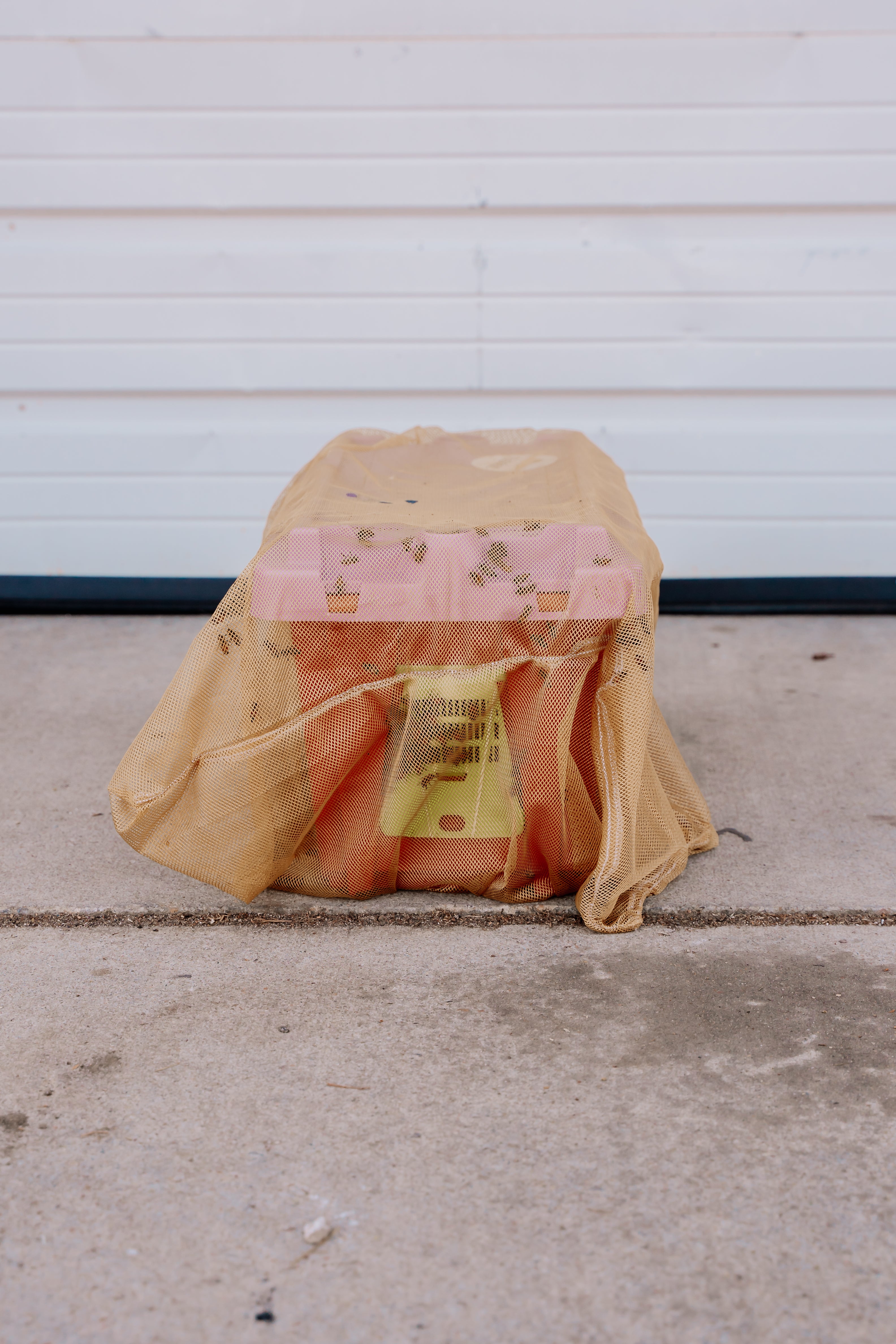 2026 NUC 5 Frame - Italian