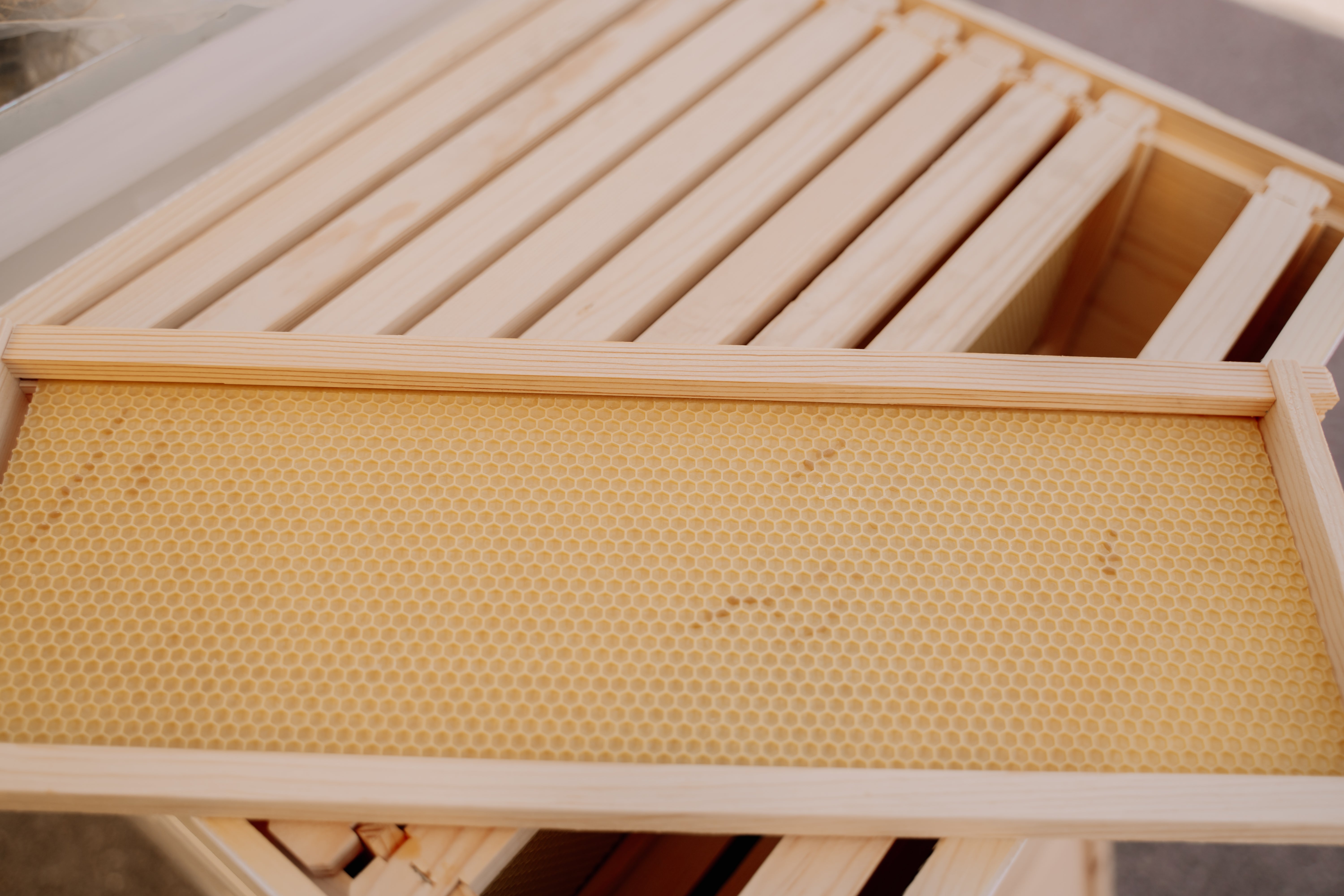 6 1/4 Assembled Medium Frame with Foundation