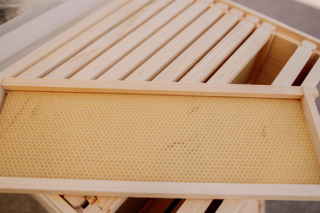 6 1/4 Assembled Medium Frame with Foundation