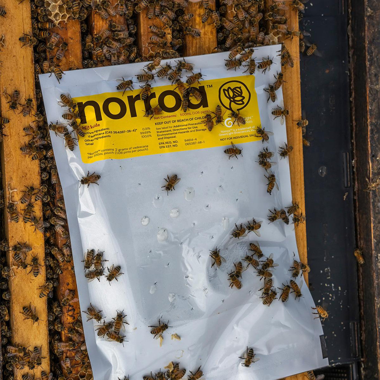 NORROA - Varroa Mite Treatment