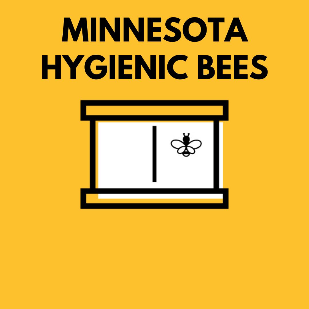2024 BEE PACKAGE 3LB WITH MATED QUEEN - Minnesota Hygienic
