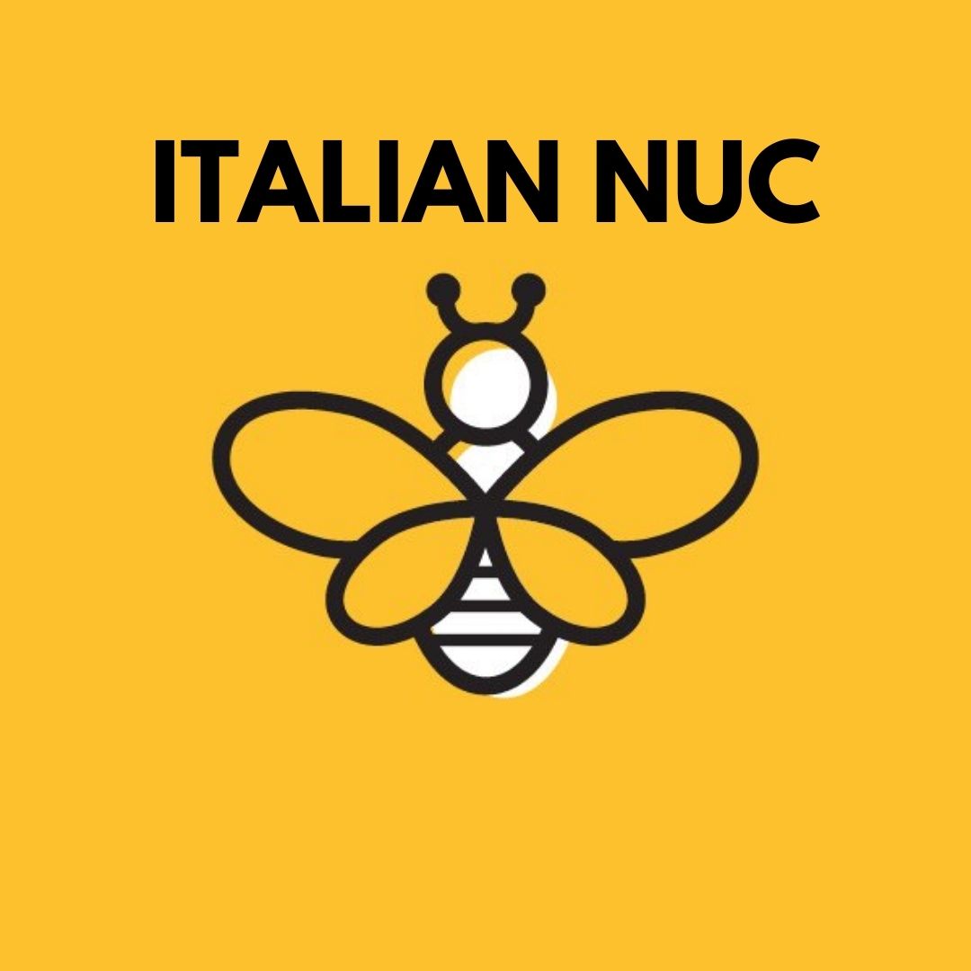 2024 NUC 5 Frame - Italian