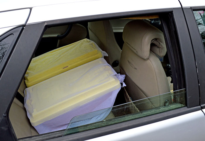 2026 NUC 5 Frame - Italian